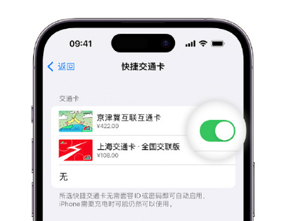 富裕apple维修点分享iPhone上更换Apple Pay快捷交通卡手绘卡面 