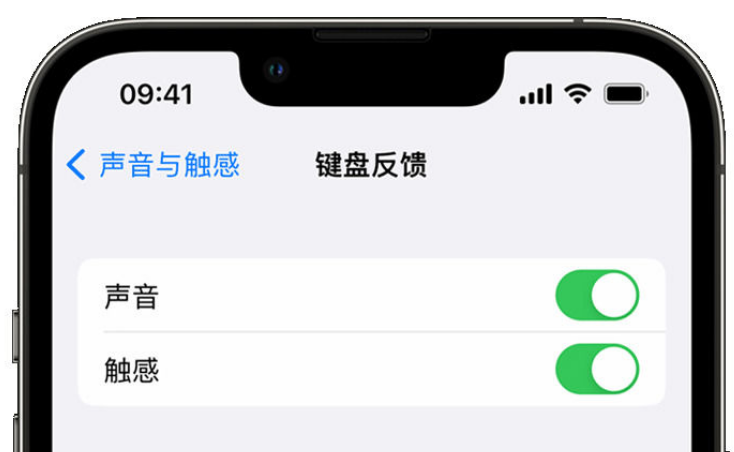 富裕苹果手机维修分享iPhone 14触感键盘使用方法 