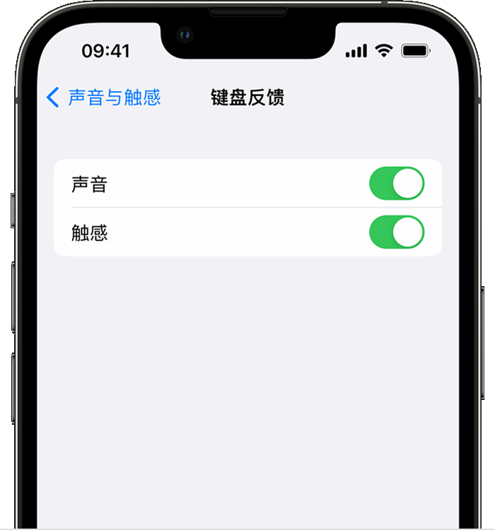 富裕苹果14维修店分享如何在 iPhone 14 机型中使用触感键盘 