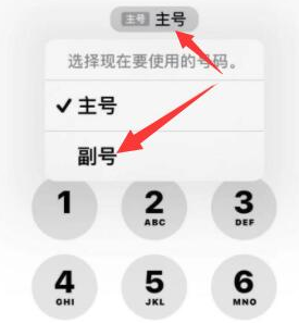 富裕苹果14维修店分享iPhone 14 Pro Max使用副卡打电话的方法 