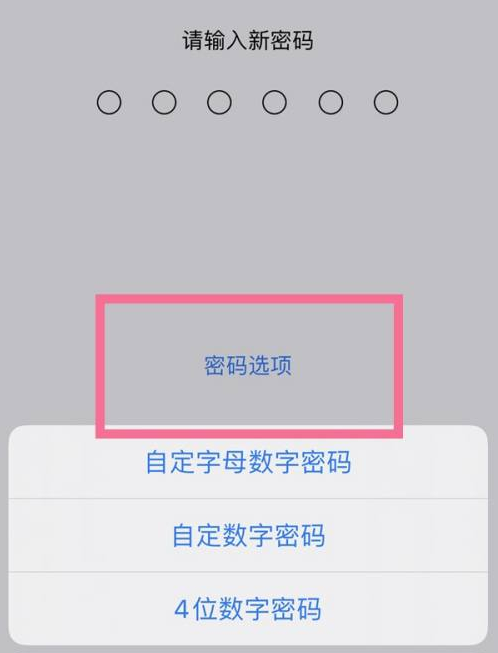 富裕苹果14维修分享iPhone 14plus设置密码的方法 