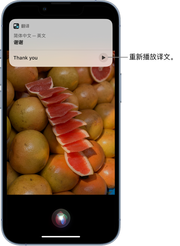 富裕苹果14维修分享 iPhone 14 机型中使用 Siri：了解 Siri 能帮你做什么 