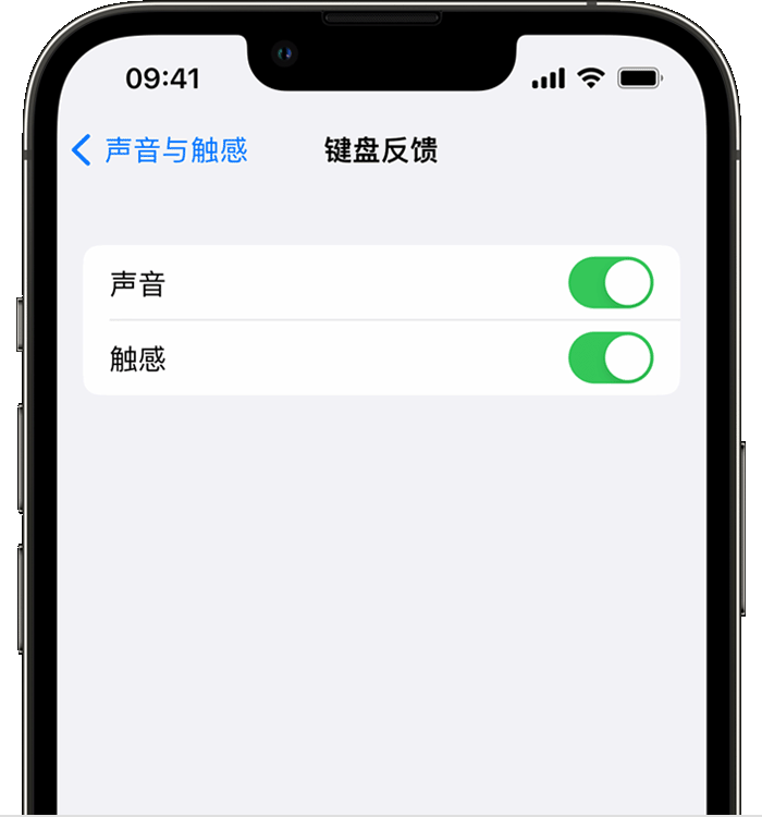 富裕苹果14维修分享iPhone 14 系列机型如何开启键盘声音或触感反馈 