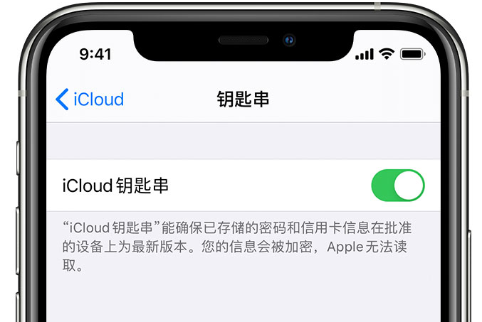 富裕苹果手机维修分享在 iPhone 上开启 iCloud 钥匙串之后会储存哪些信息 