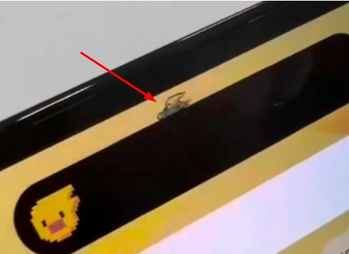 富裕苹果14维修分享iPhone 14 Pro Max灵动岛怎么养宠物 