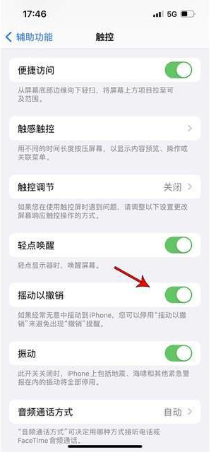 富裕苹果手机维修分享iPhone手机如何设置摇一摇删除文字 