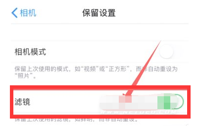 富裕苹果13维修分享iPhone13拍照有绿点是怎么回事 