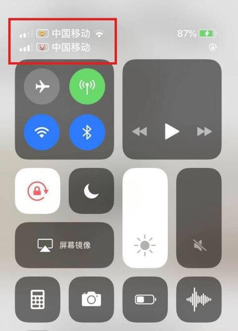 富裕苹果手机维修分享为 iPhone 12 双卡设置标签 